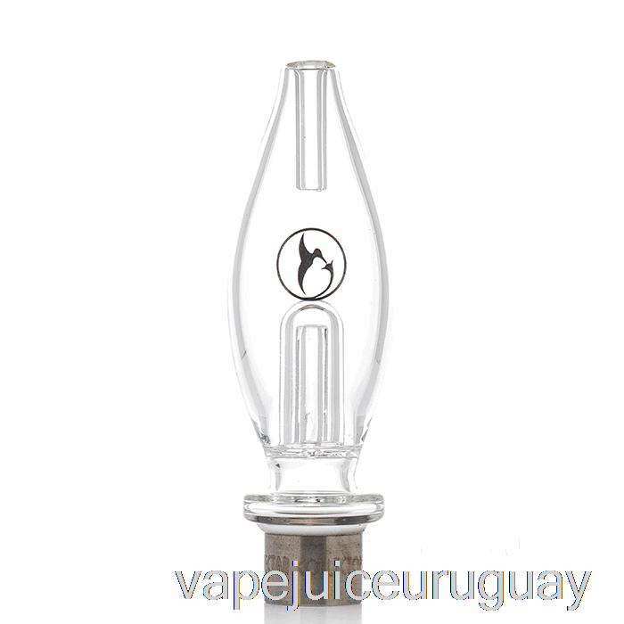 Kit De Núcleo De Pájaro Miel Recolector De Néctar Vape Transparente Uruguay